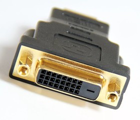 24425