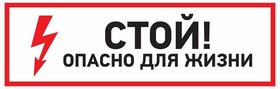 49648