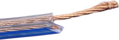 6831
