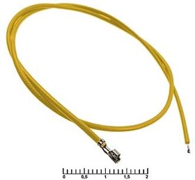 54805