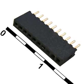 39394