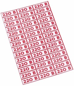 56504