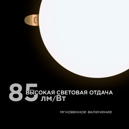 73163_1
